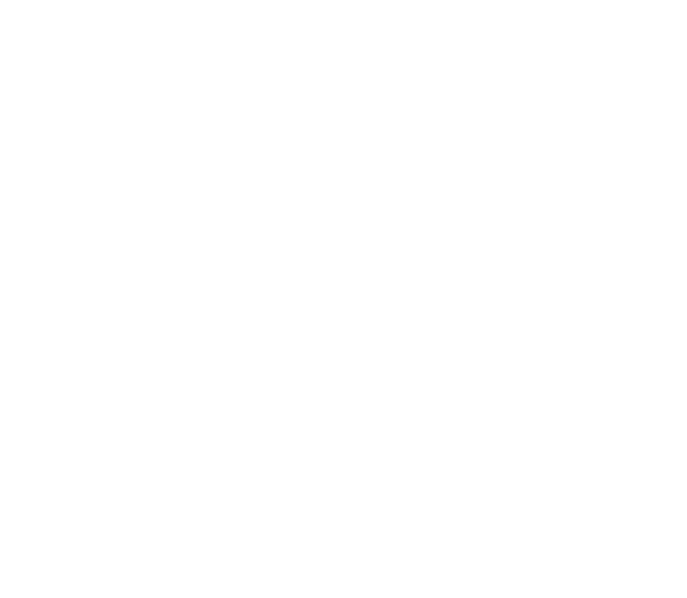 OP Fox Icon